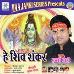 Mannu Mahi Songs MP3 Download